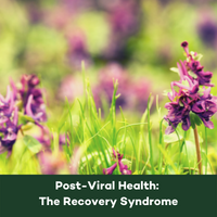 Phytomed Blog Square post viral health - recovery syndrome